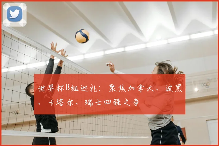 世界杯B组巡礼:聚焦加拿大、波黑、卡塔尔、瑞士四强之争